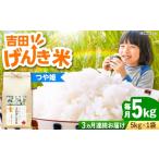 米 つや姫 新米 定期便 5kg