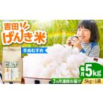 米 きぬむすめ 令和8年産 新米 5kg×3回
