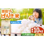 米 きぬむすめ 新米 定期便 10kg