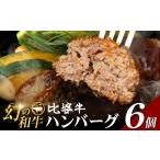 牛肉 ハンバーグ 比婆血統和牛 比婆牛 100%