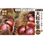果物類 栗 39210-149-0010_