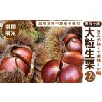果物類 栗 39210-149-0011_