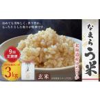 米 ゆめぴりか 9ヶ月定期便 玄米 なまらう米