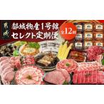肉 セレクト定期便 都城物産1号館 定期便