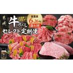 牛肉 ステーキ セレクト定期便 ご褒美 牛尽くし定期便