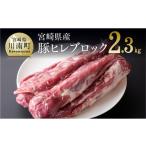 豚肉 ヒレ 令和8年 産豚 ヒレブロック 5本