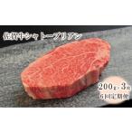 牛肉 ヒレ 6回定期便 佐賀牛シャトーブリアン 600g