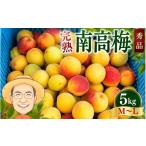 果物類 秀品 完熟 南高梅 約5kg