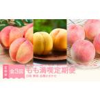 もも もも満喫定期便 全3回 白桃 黄桃 秀品