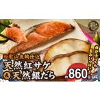 魚貝類 脂と旨み 魚鶴仕込の天然 紅サケ約500g&銀だら4切約…