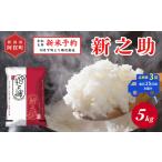 米 定期便 全3回 5kg×3回