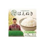 米 はえぬき 令和8年産 新米 3回定期便 精米 5kg×3回