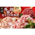 豚肉 炒め物 セレクト定期便 牛 鶏 豚定期便