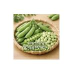 豆類 うすい豆 紀州うすい 2kg