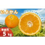 いよかん 宮内伊予柑 5kg