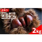 果物類 栗 訳あり 2kg