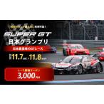 イベントやチケット等 SUPER GT 観戦クーポン
