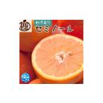 みかん 柑橘類 オレンジ セミノールオレンジ