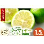 みかん 柑橘類 レモン 先行受付 産ラフマイヤーレモン 1.5kg