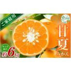 森本農園の手選別 甘夏みかん 約6kg