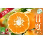 森本農園の手選別 甘夏みかん 約2kg