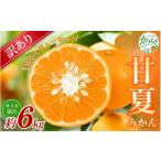 森本農園の手選別 甘夏みかん 約6kg
