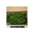 野菜類 冷凍の青唐辛子500g 2026年産