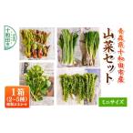 野菜類 山菜 先行受付 山菜セット ミニ 2~5種類