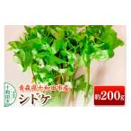 野菜類 山菜 先行受付 シドケ 約200g