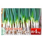 野菜類 ねぎ 先行受付 ネギ食べ比べ 約4kg