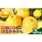 果物類 みかん 柑橘 有田育ちのはるかみかん