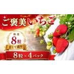 いちご チョイス 紅ほっぺ イチゴ 苺 大粒 厳選8粒×4パック