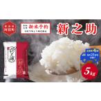 米 定期便 全4回 5kg×4回