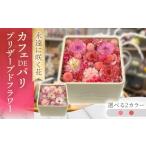 花 チェリー カフェDEパリ プリザーブドフラワー