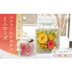 花 イエロー×オレンジ パフュームドルチェミニローズ