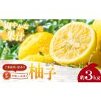 みかん 柑橘類 ゆず ご 訳あり 紀州 有田 柚子 約3kg