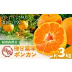特撰 極甘 濃厚 ポンカン 約3kg
