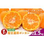 果物類 みかん ご 極甘 柑橘 有田育ちの濃厚