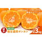 果物類 みかん ご 極甘 柑橘 有田育ちの濃厚