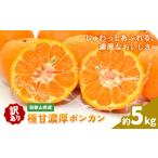 果物類 みかん ご 極甘 柑橘 有田育ちの濃厚