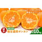 果物類 みかん ご 極甘 柑橘 有田育ちの濃厚