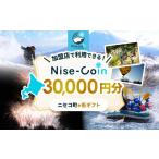 ポイント e街 Nise-Coin 30 000円分