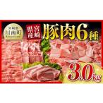 豚肉 セット 令和8年 産豚肉6種 3.0kg