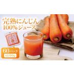 野菜類 ジュース にんじんジュース 100% 100g