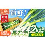 野菜類 ねぎ 長ねぎ 2kg前後