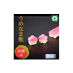 加工品等 株 スギタニ うめなま麩 60g