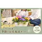 苗木 おうちで育てる花のある暮らし 季節のお花栽培キット
