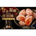 果物類 柿 特選生産者 南信州産 市田柿 1kg