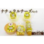 加工品等 チーズ 国内コンテスト最優秀賞受賞