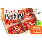 果物類 さくらんぼ GCF 佐藤錦 特秀 M 720g